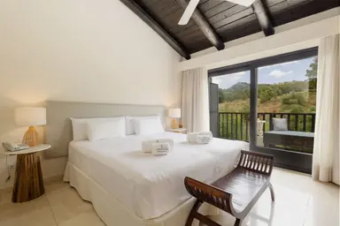 Standard Mountain View Room