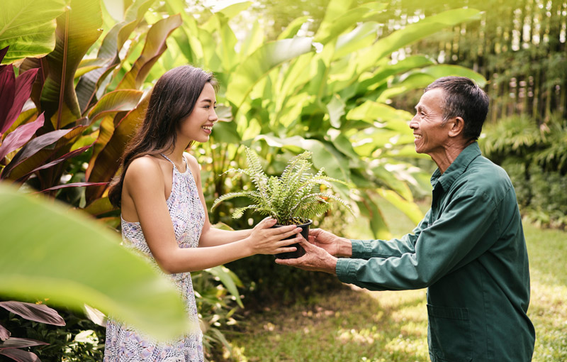 Chiva Som Hua, Thailand Wellness Travel Retreat