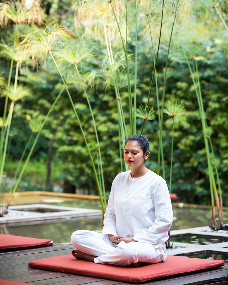 Yoga Wellness Retreat Centre
